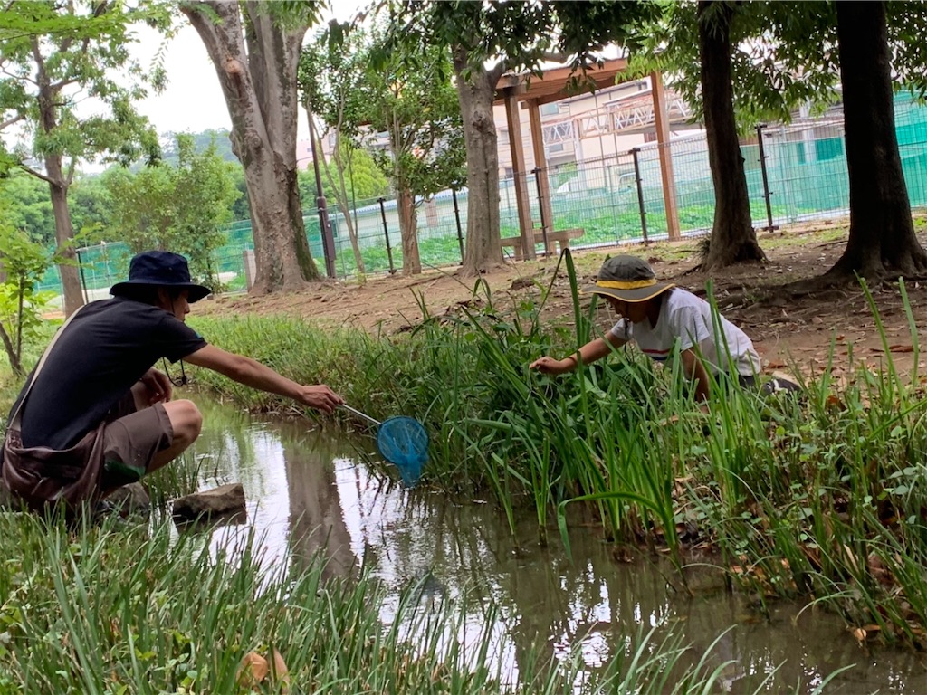 世田谷でザリガニ釣り じろうぱぱの育児日記