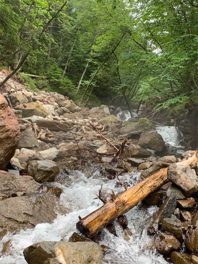 f:id:jiropapa:20190805090808j:image