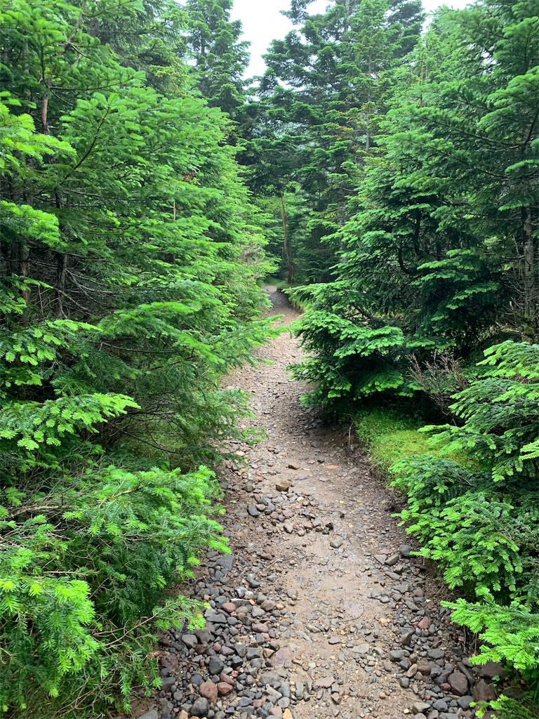 f:id:jiropapa:20190805090816j:image