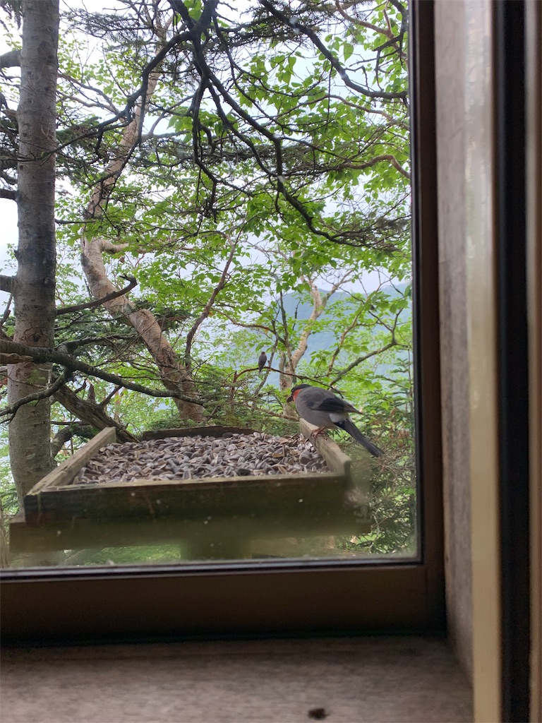 f:id:jiropapa:20190805091212j:image