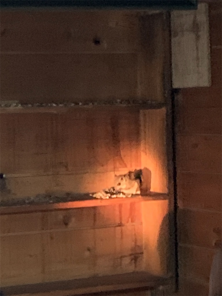 f:id:jiropapa:20190805092515j:image