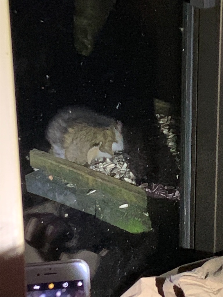f:id:jiropapa:20190805092519j:image