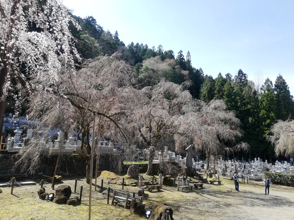 f:id:jiropon:20200321225420j:plain