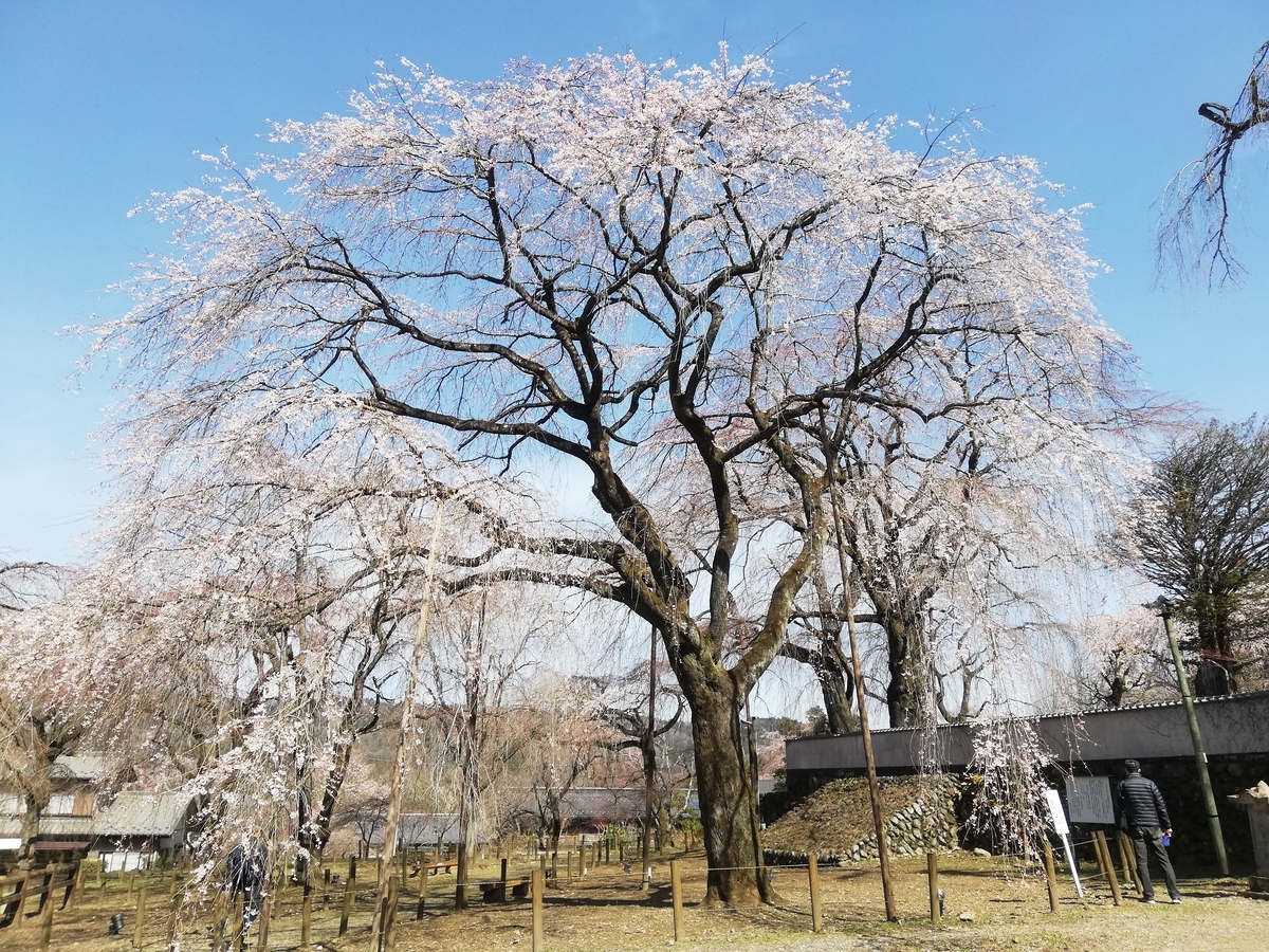 f:id:jiropon:20200321225453j:plain