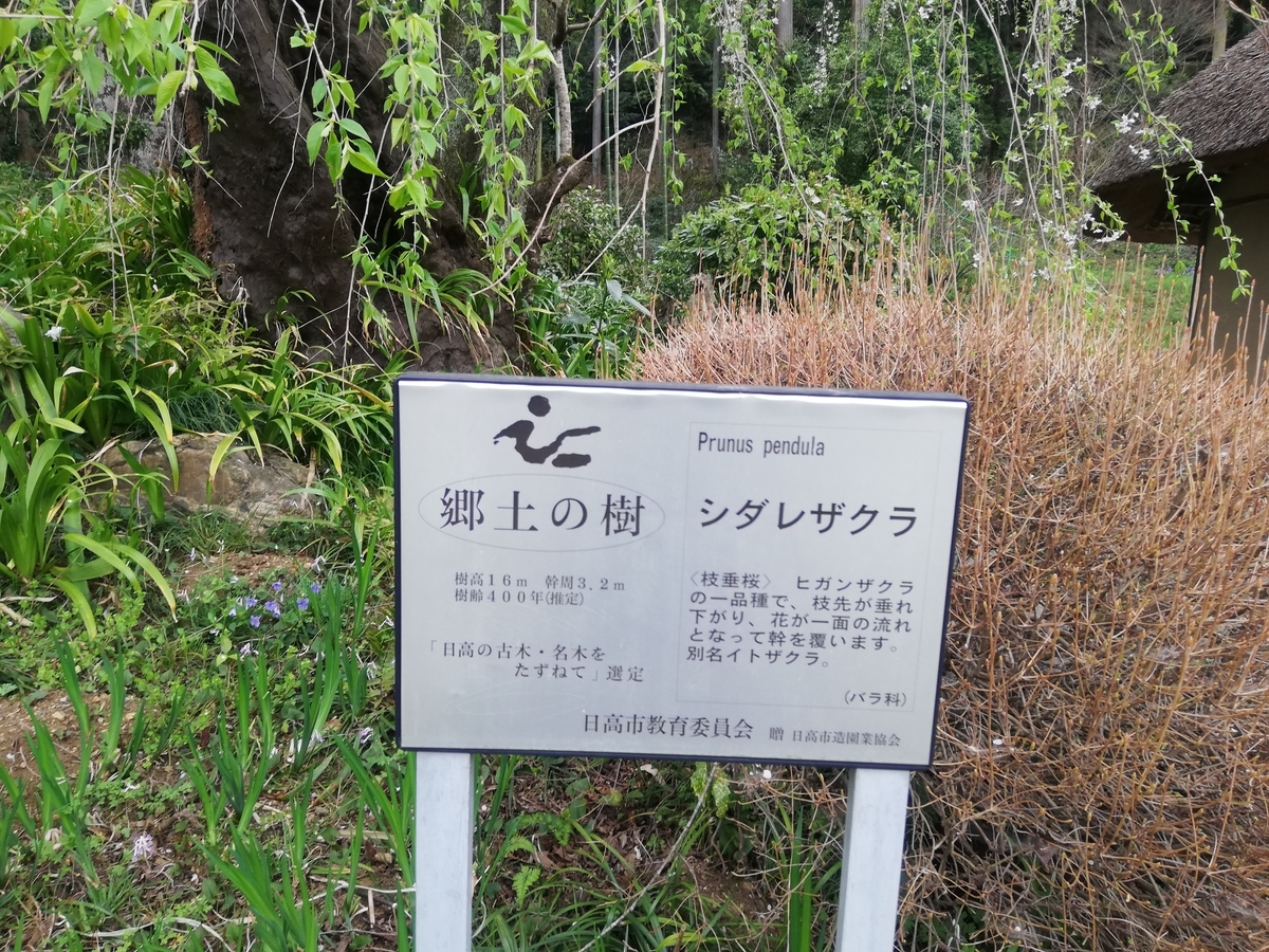 f:id:jiropon:20200329190110j:plain