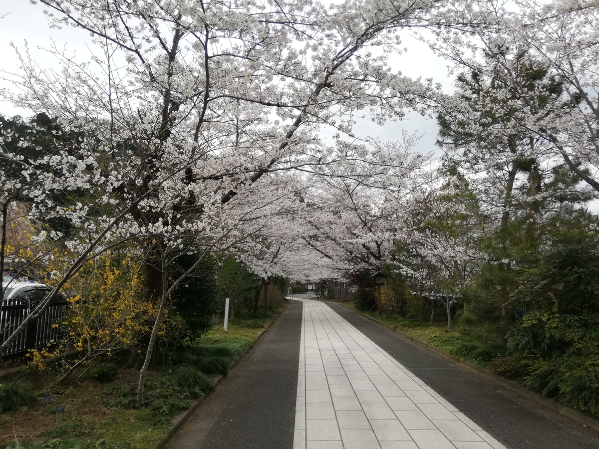 f:id:jiropon:20200329191054j:plain