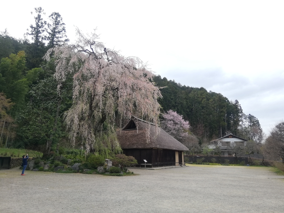 f:id:jiropon:20200329192812j:plain