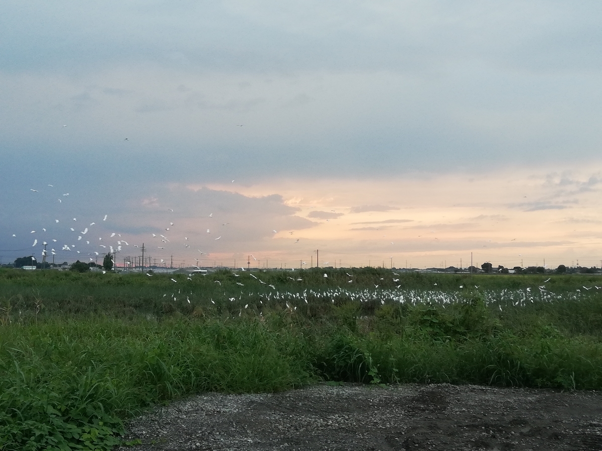 f:id:jiropon:20200927195628j:plain