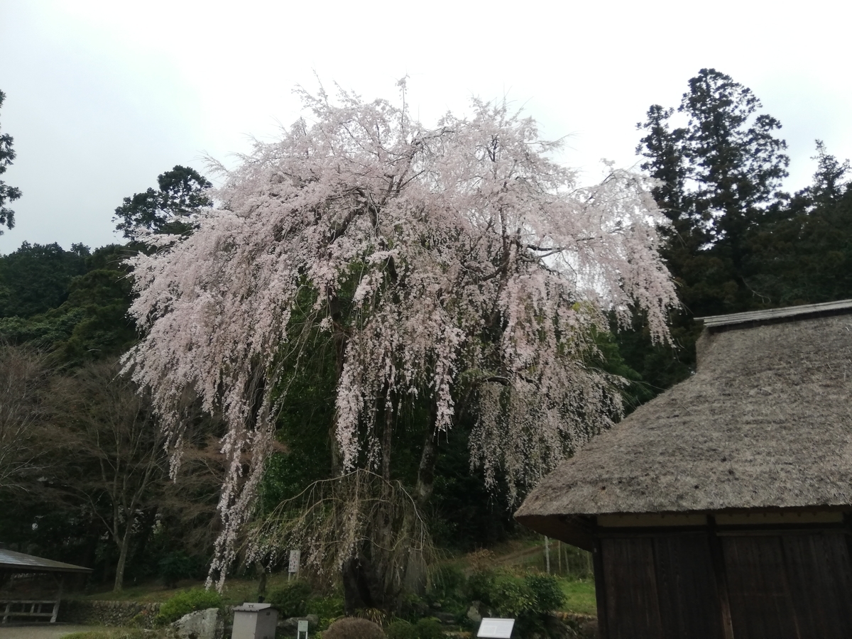 f:id:jiropon:20210320195012j:plain
