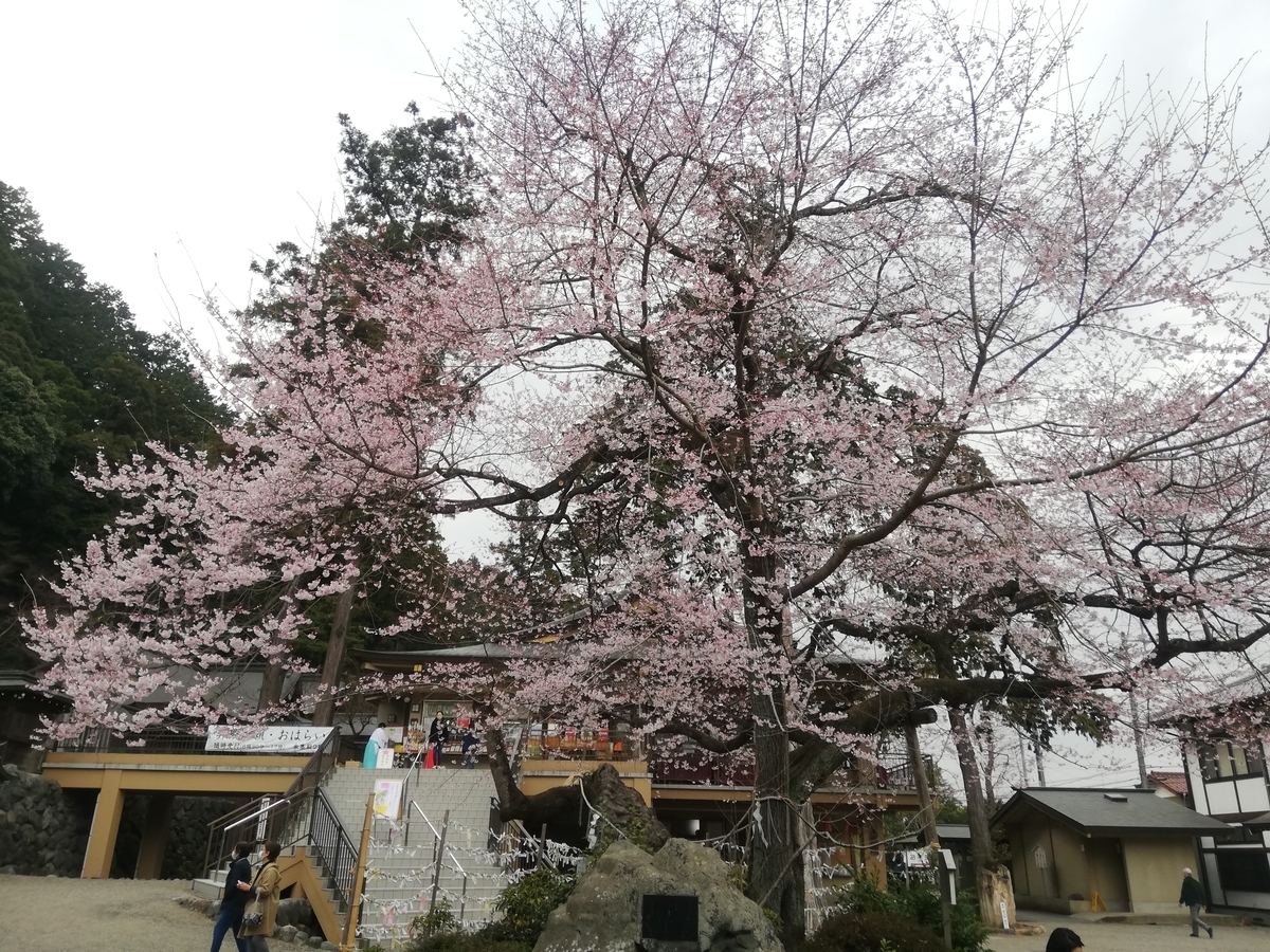 f:id:jiropon:20210320200233j:plain