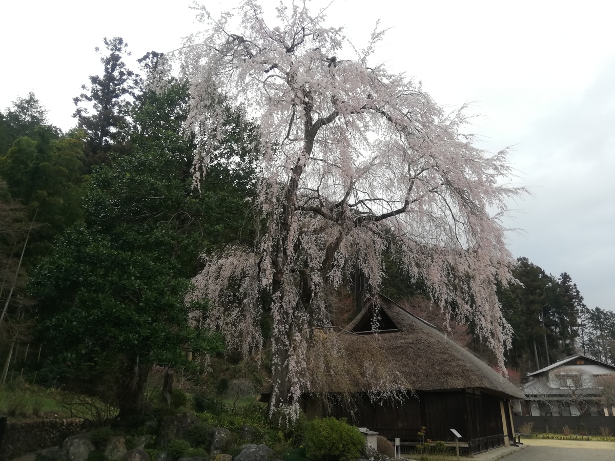 f:id:jiropon:20210320201316j:plain