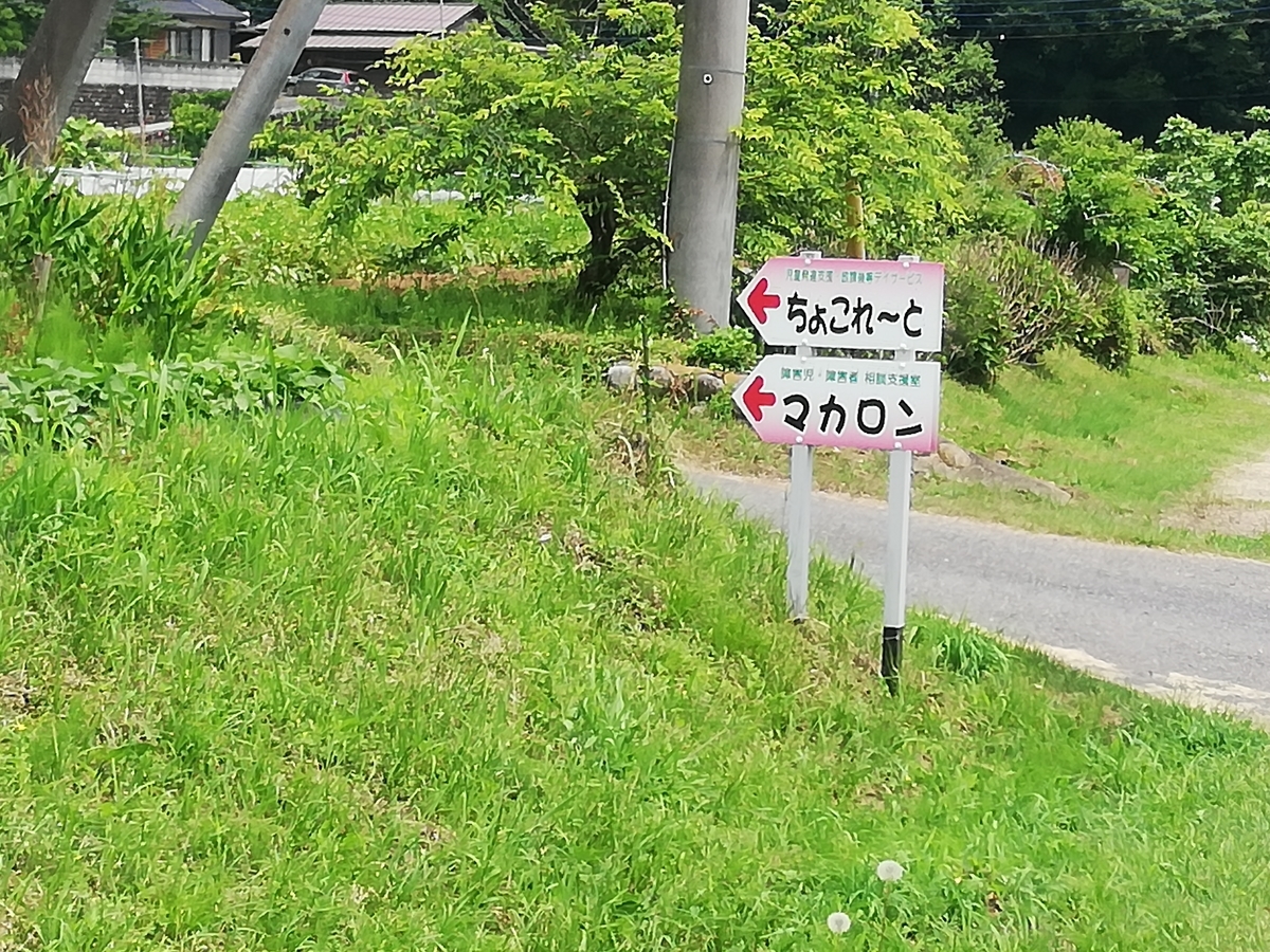 f:id:jiropon:20210613223022j:plain