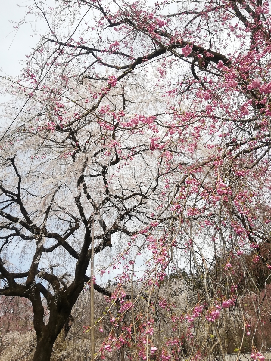 f:id:jiropon:20220403193225j:plain