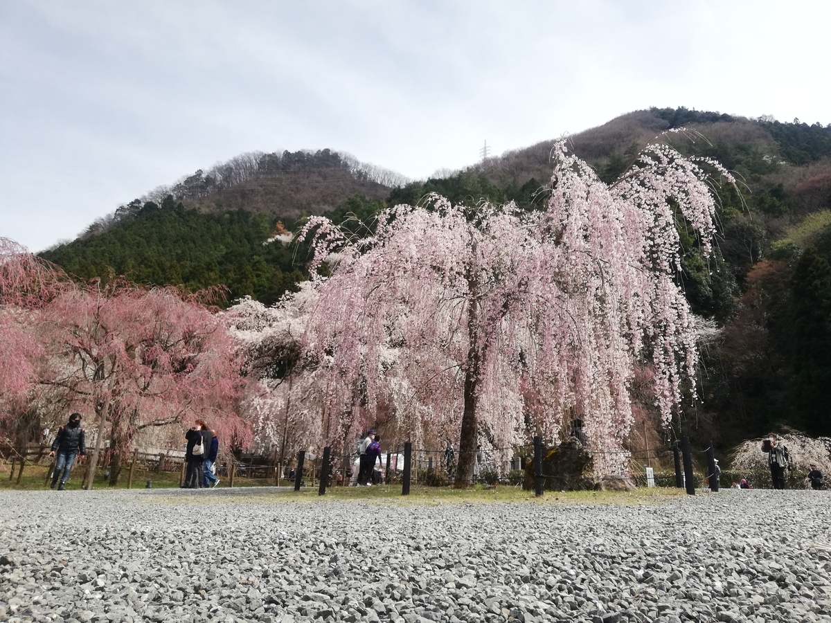 f:id:jiropon:20220403193349j:plain