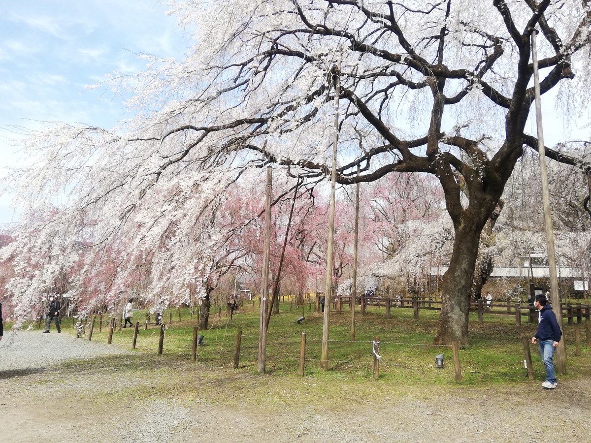 f:id:jiropon:20220403193948j:plain