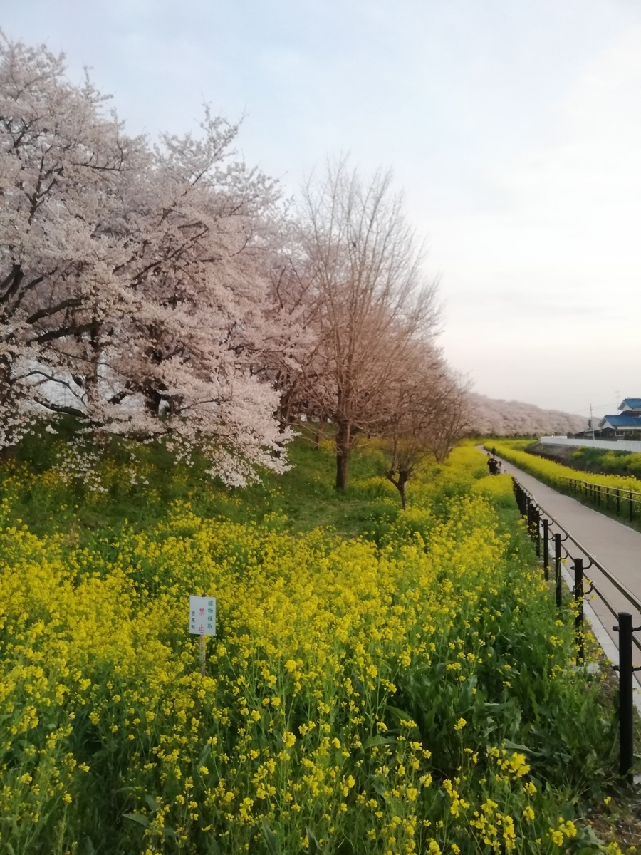 f:id:jiropon:20220403223345j:plain