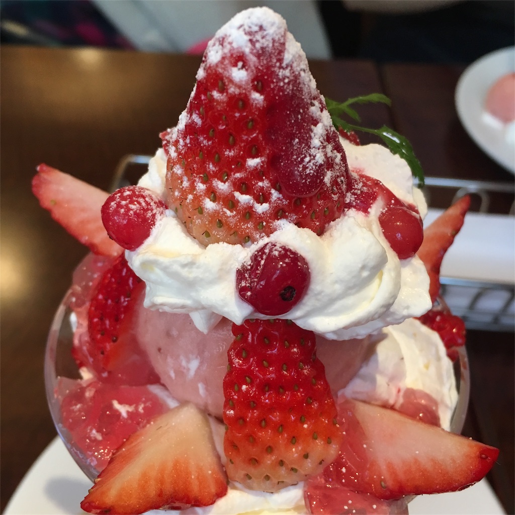 f:id:jissaisoko:20170530132858j:image