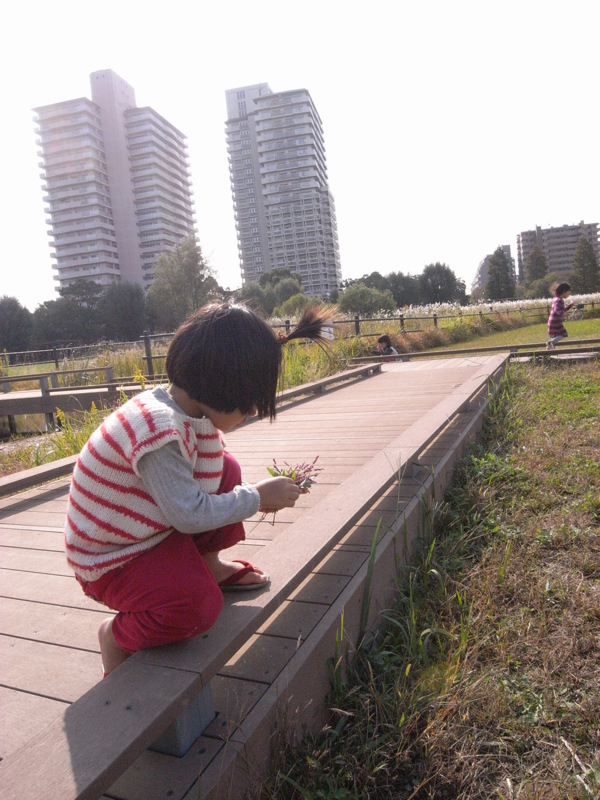 f:id:jisyuhoikuomusubi:20121031095234j:image:w360