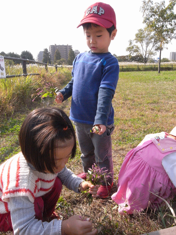 f:id:jisyuhoikuomusubi:20121031100025j:image:w360