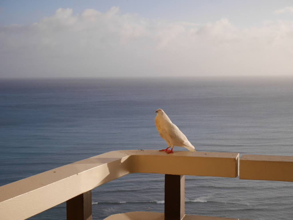 f:id:jitakugaitibann:20170819150210j:plain