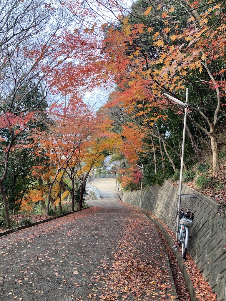 f:id:jitensyabaka:20210104160855j:image f:id:jitensyabaka:20210104160855j:image