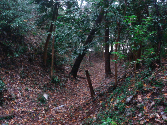 f:id:jito54:20091114101203j:image f:id:jito54:20091114101203j:image