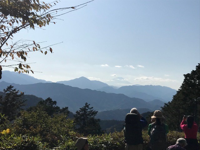f:id:jitome_no_tetsuko:20191119173408j:plain