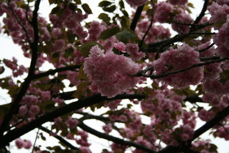 20080420133156
