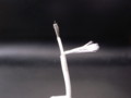 20100502175005
