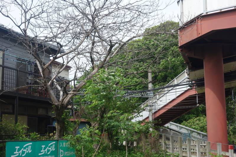 f:id:jittyan:20140508134107j:image