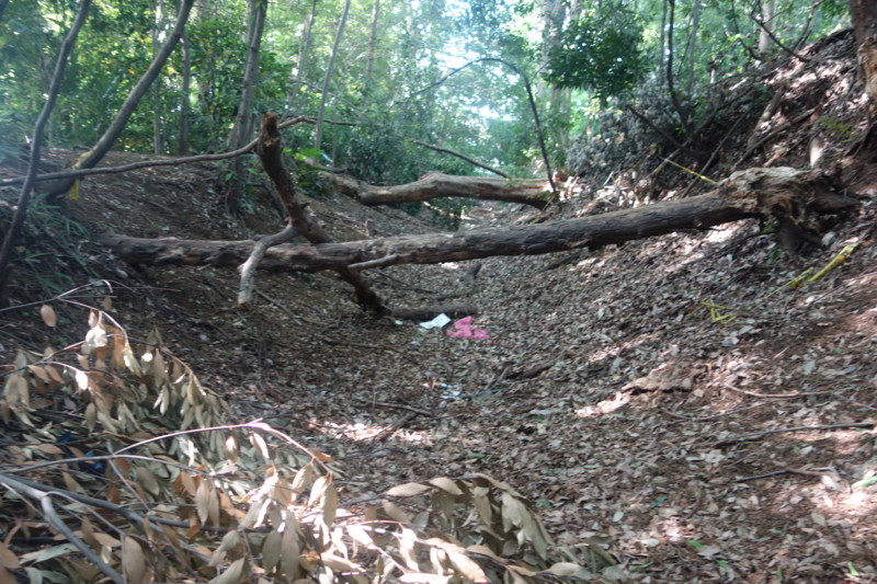 f:id:jittyan:20140510075435j:image
