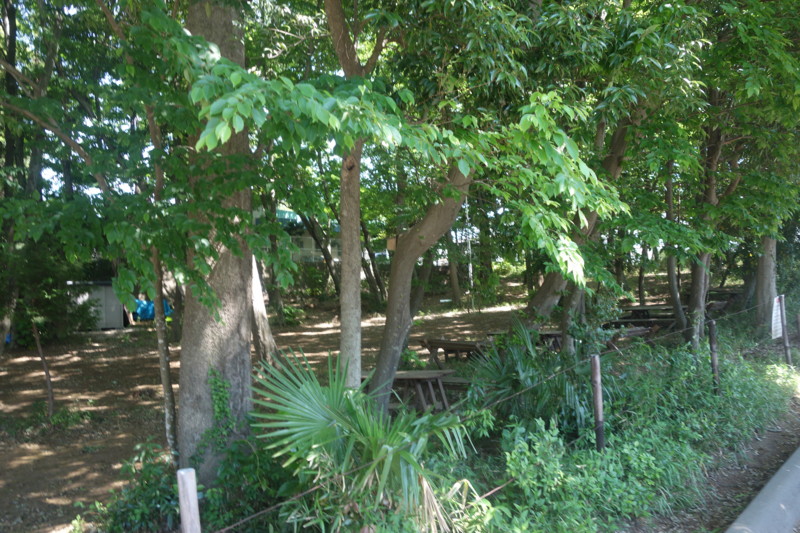 f:id:jittyan:20140511131902j:image