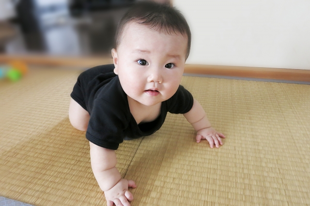 f:id:jitumatsu:20170519065600j:plain f:id:jitumatsu:20170519065600j:plain