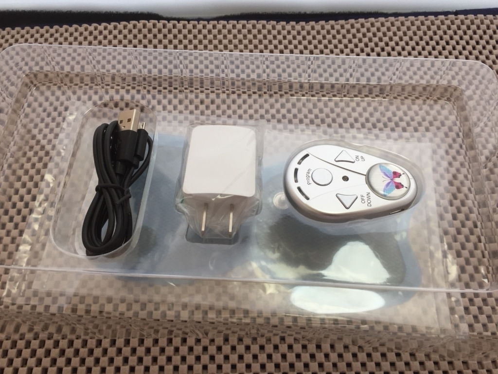 f:id:jitumatsu:20180729124359j:plain