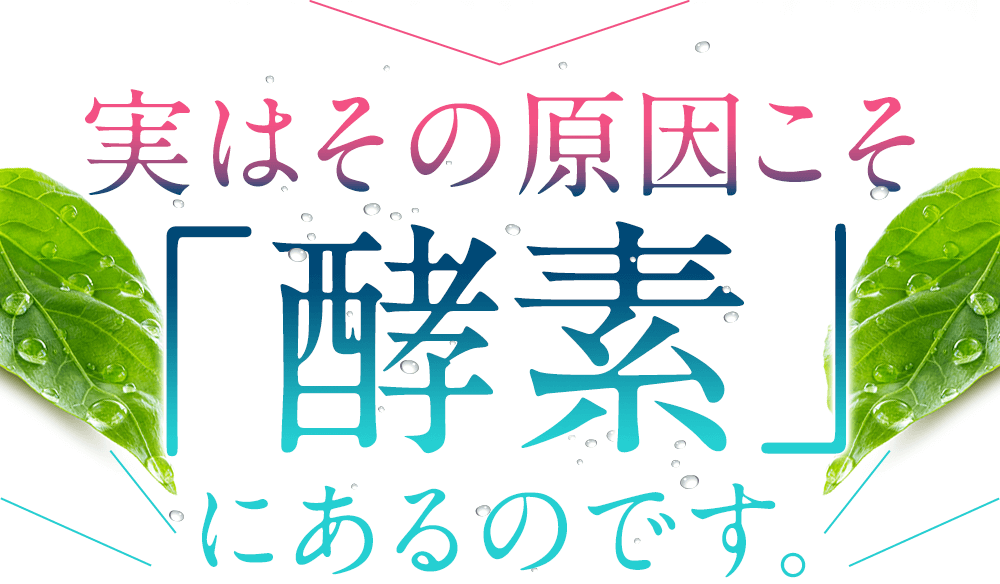 f:id:jitumatsu:20180909055117p:plain