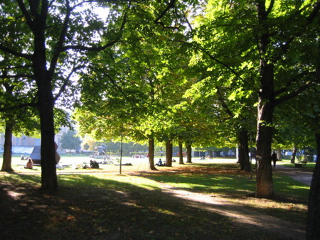 f:id:jiu:20081016221324j:image
