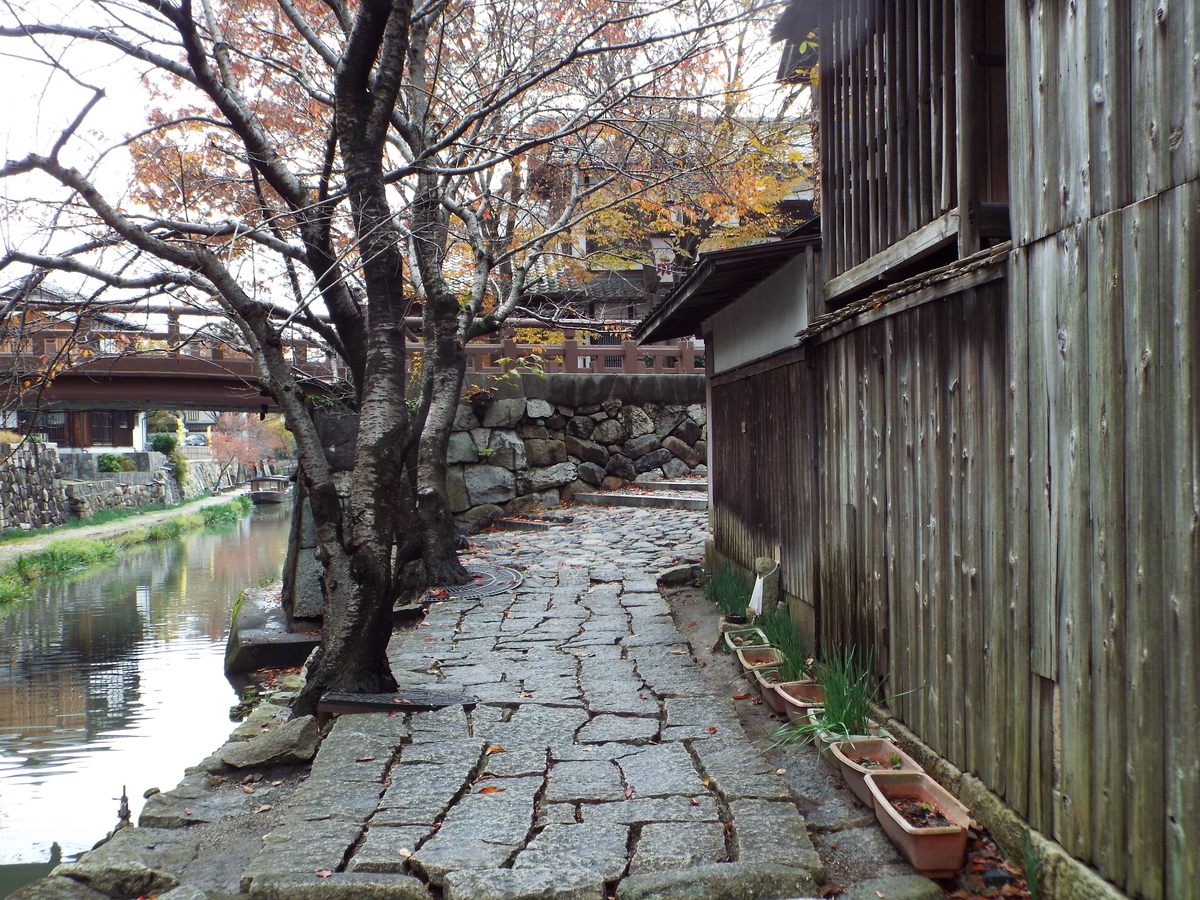 f:id:jiunji:20200108213208j:plain f:id:jiunji:20200108213208j:plain