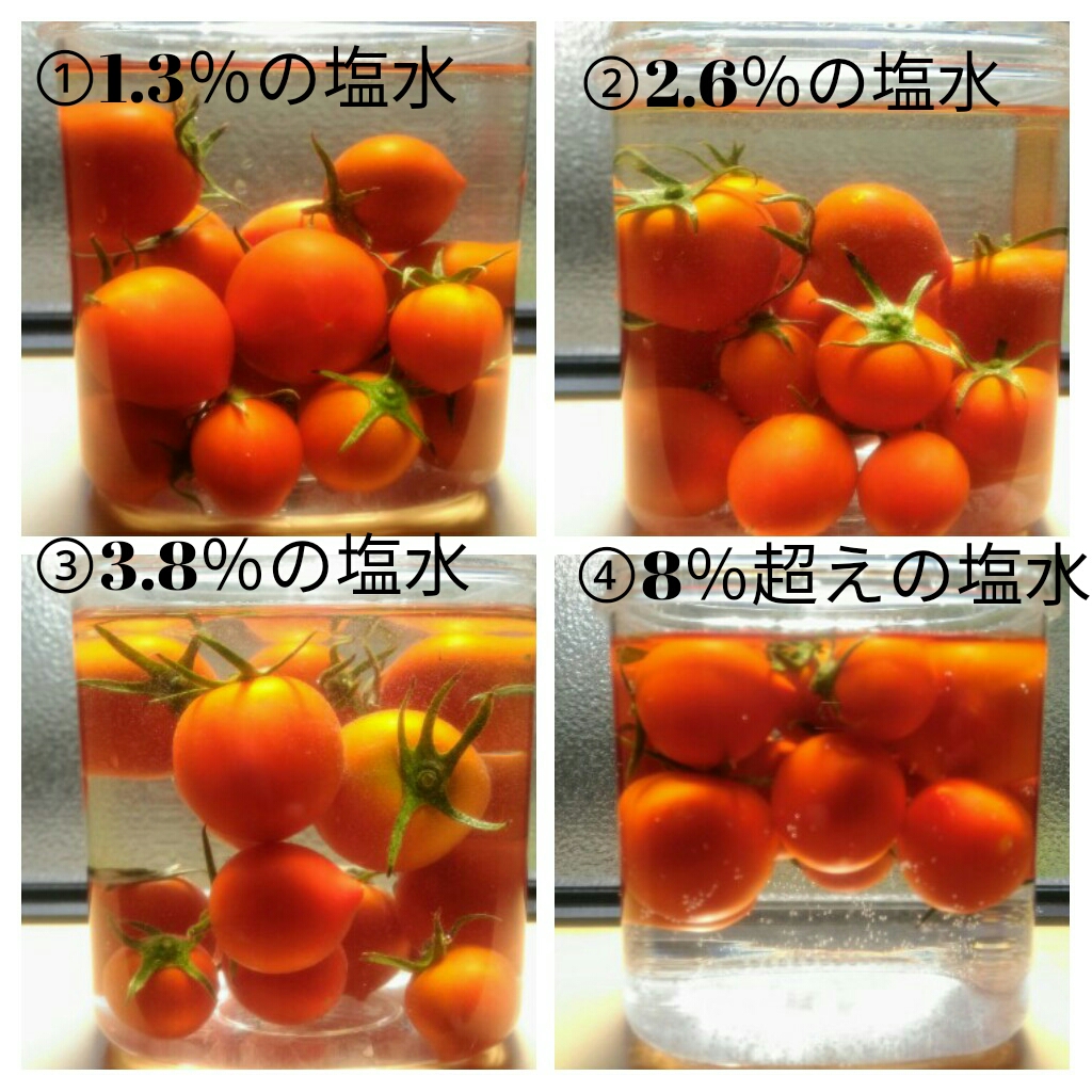 f:id:jiyu-kenkyu-kazoku:20190826135720j:plain f:id:jiyu-kenkyu-kazoku:20190826135720j:plain