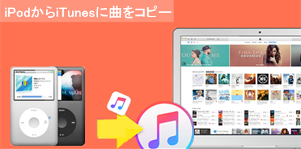 f:id:jiyuukeishiki:20211128224547j:plain