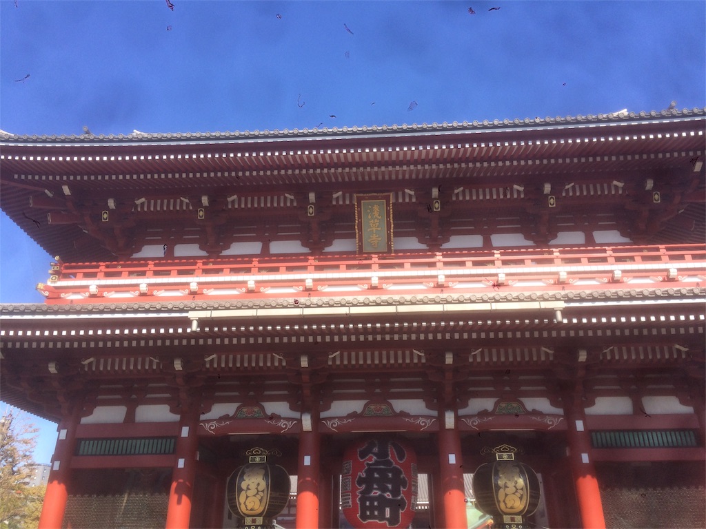 f:id:jizi9:20181114131313j:image