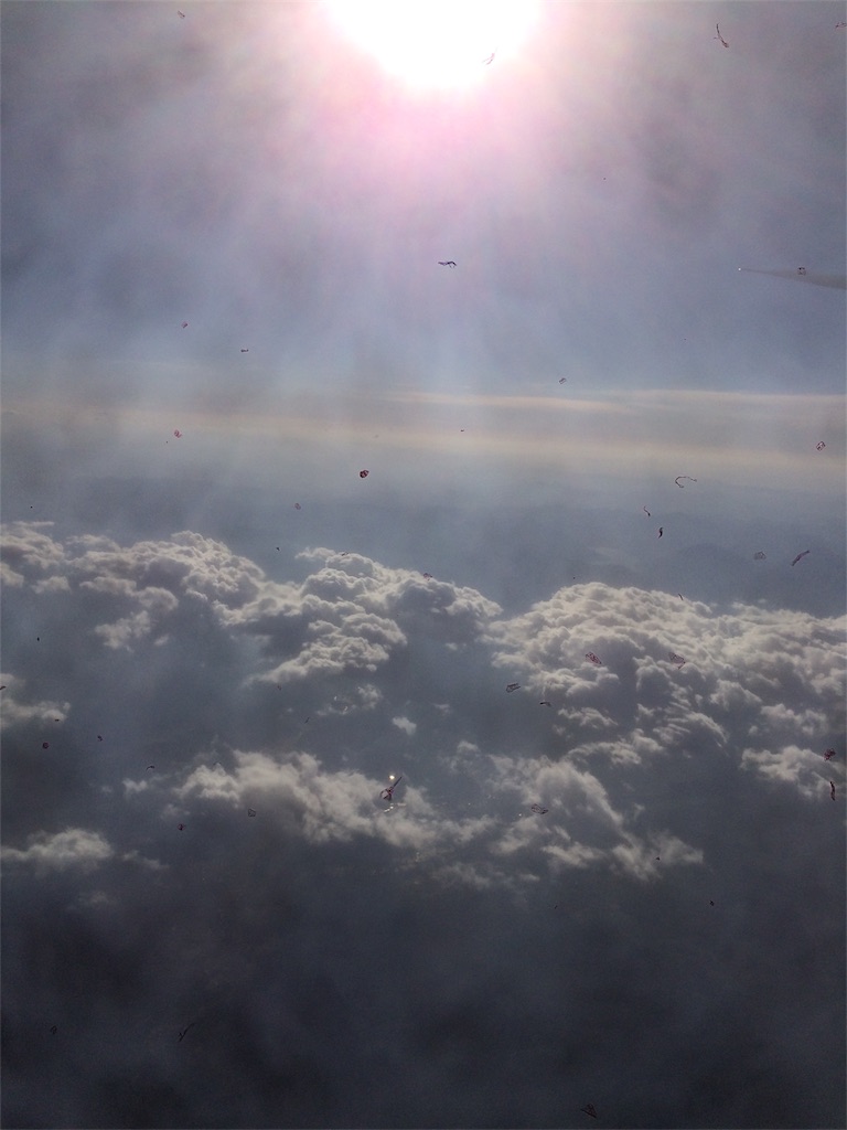 f:id:jizi9:20190527232656j:image