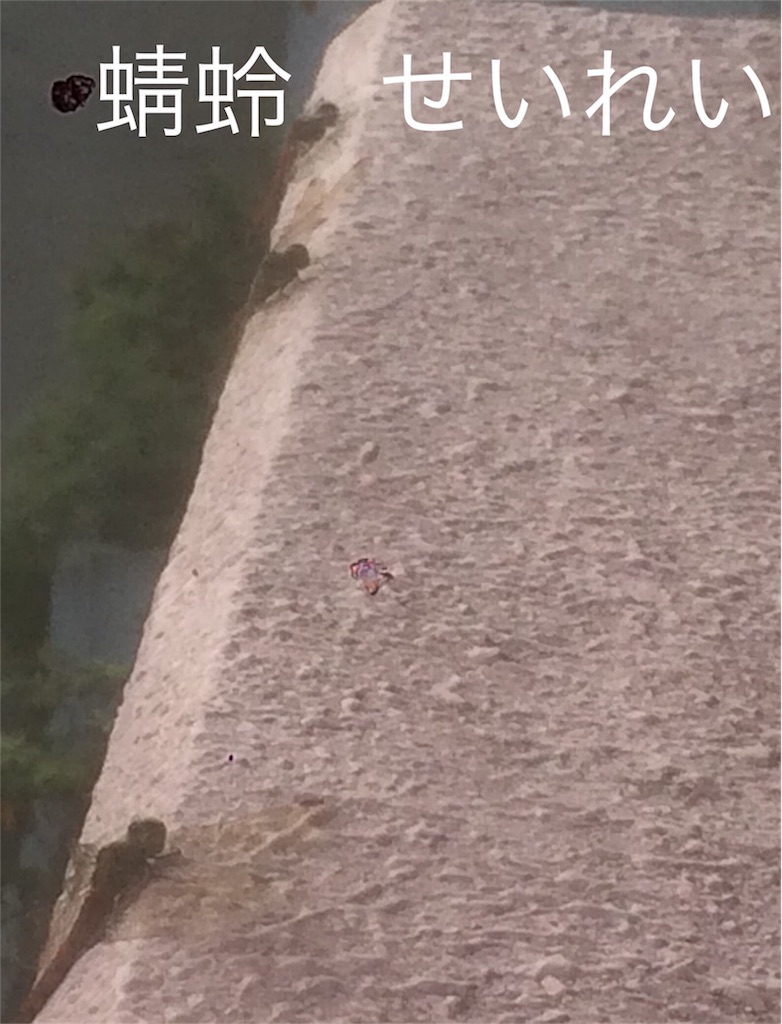f:id:jizi9:20200924163640j:plain