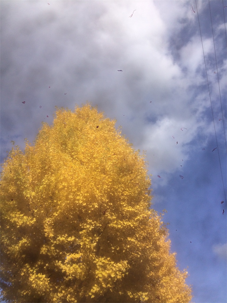f:id:jizi9:20201129100556j:plain