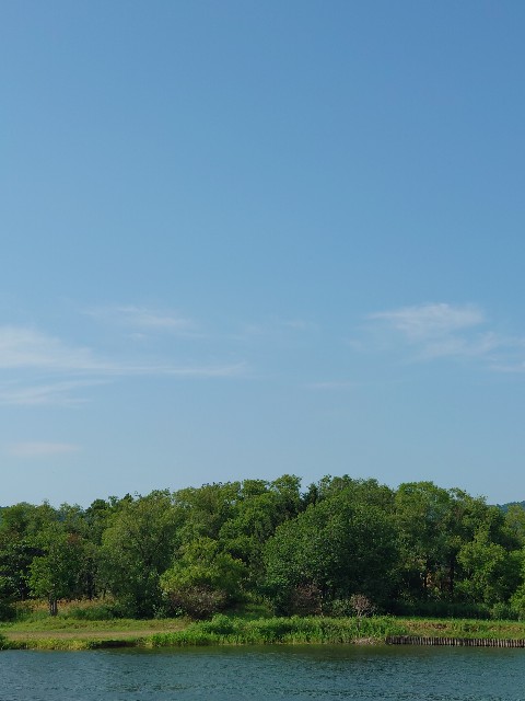 f:id:jizi9:20210730141536j:plain