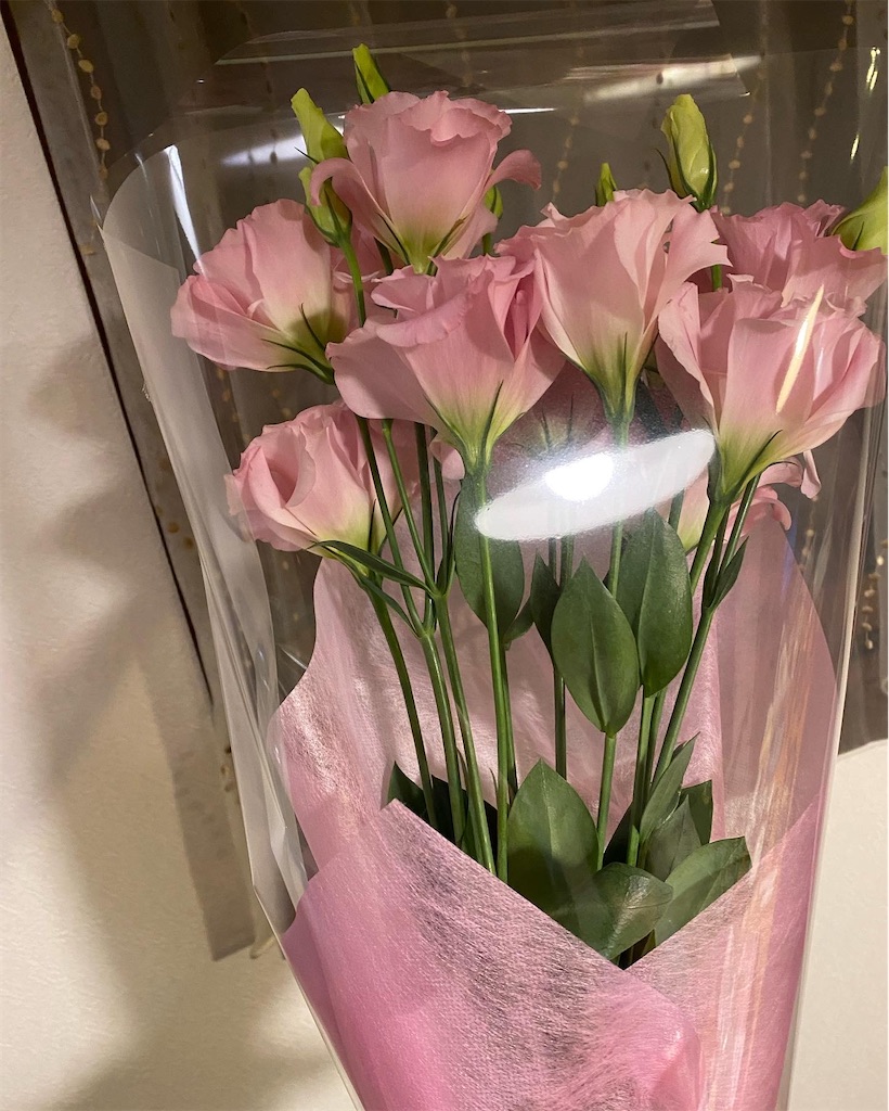 f:id:jizo8882005:20211129182406j:image