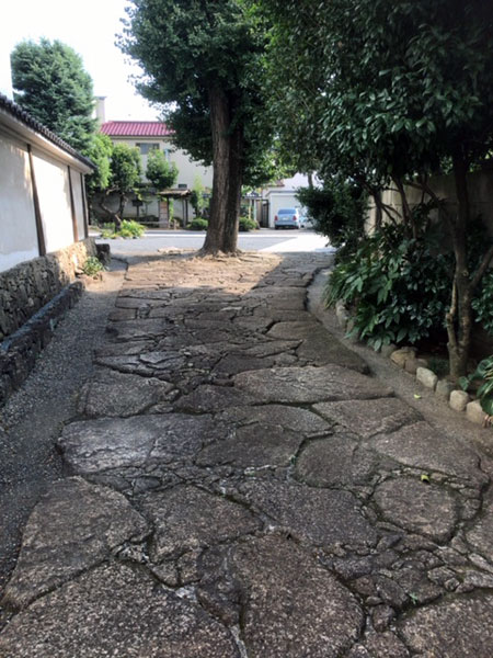 海徳寺 参道