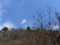 f:id:jj2001s:20160420104940j:image