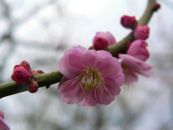 f:id:jj2001s:20160420200541j:image