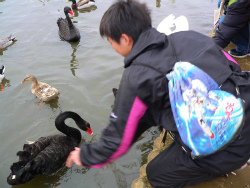 f:id:jj2001s:20160420205602j:image