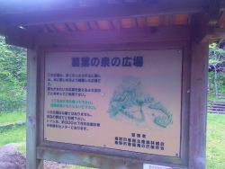 f:id:jj2001s:20160429233106j:image